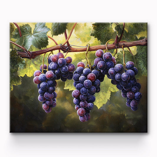 Ripe Grapes Painting By Number 1