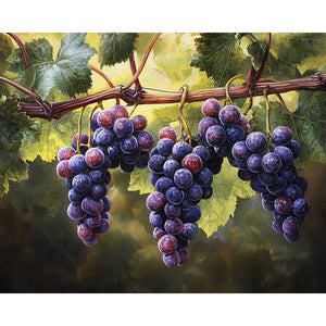 Ripe Grapes Painting By Number 2