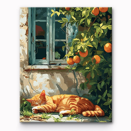 Orange Cat In The Window Painting By Number 1