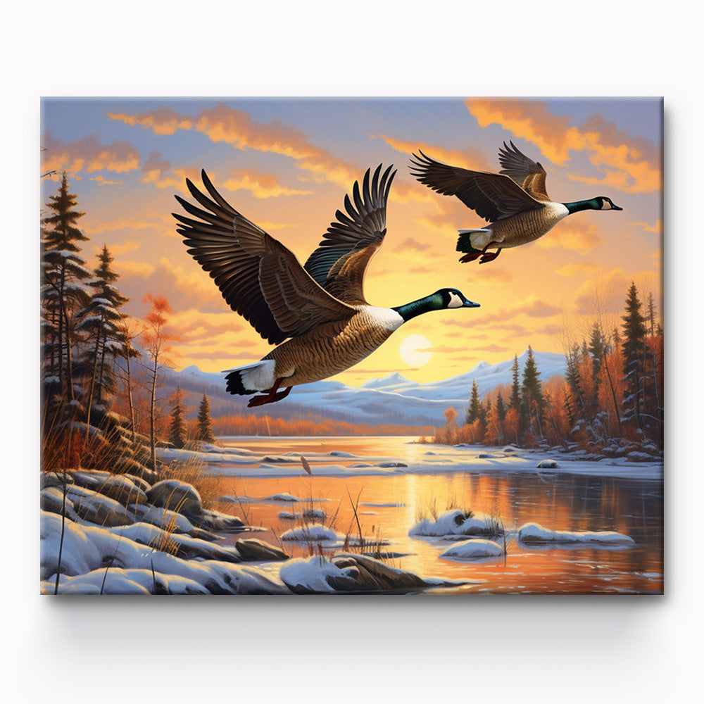 Wild Goose Painting By Number 1