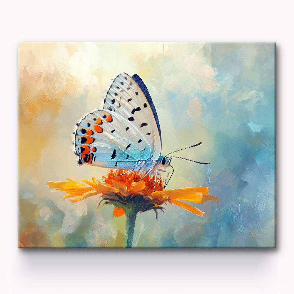 Butterfly Painting By Number 1