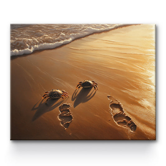 Crab on the Bbeach Painting By Number 1