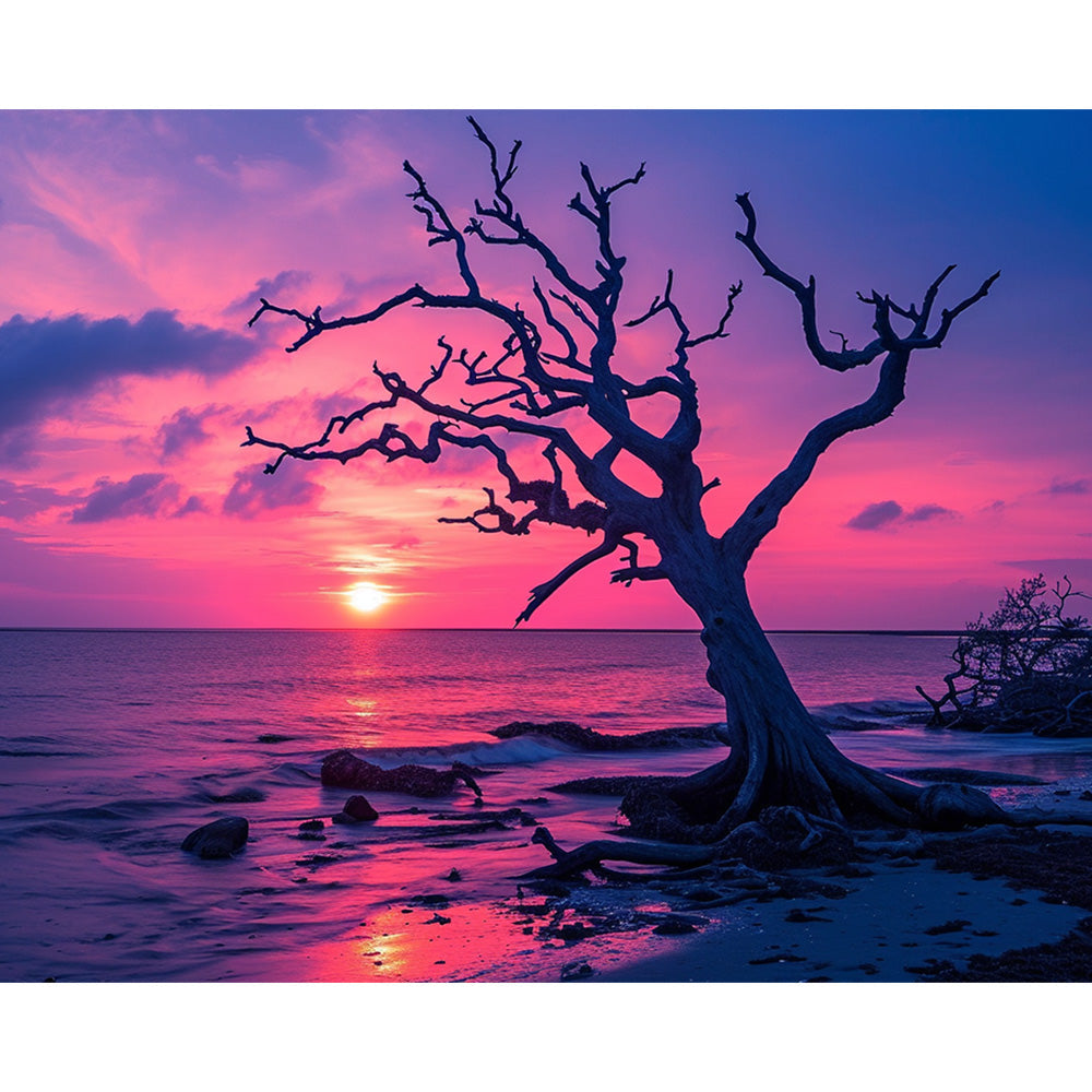 Sunset Trees Painting By Number 2