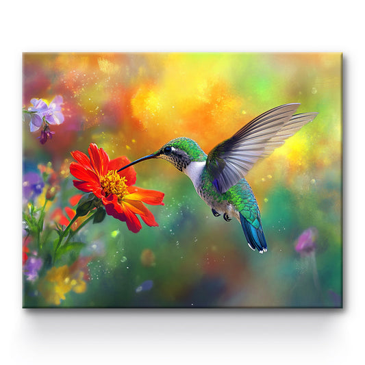 Hummingbird Painting By Number 1