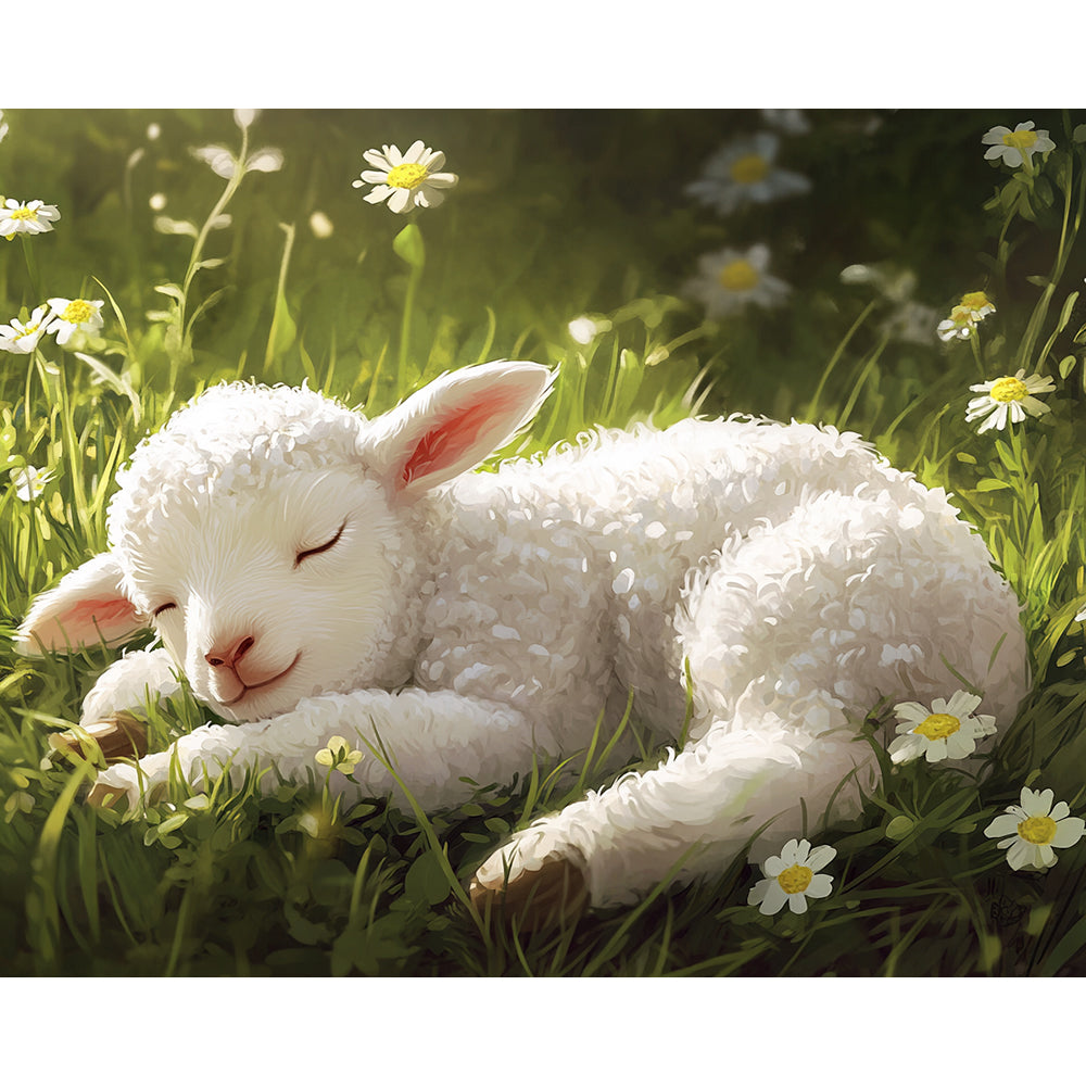 Sleeping Sheep Painting By Number 2