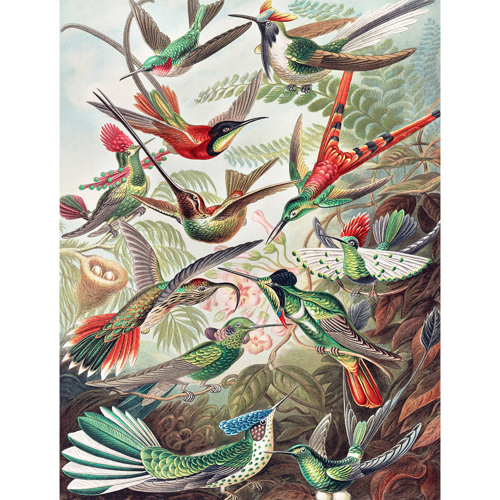 Brid Painting By Number 2