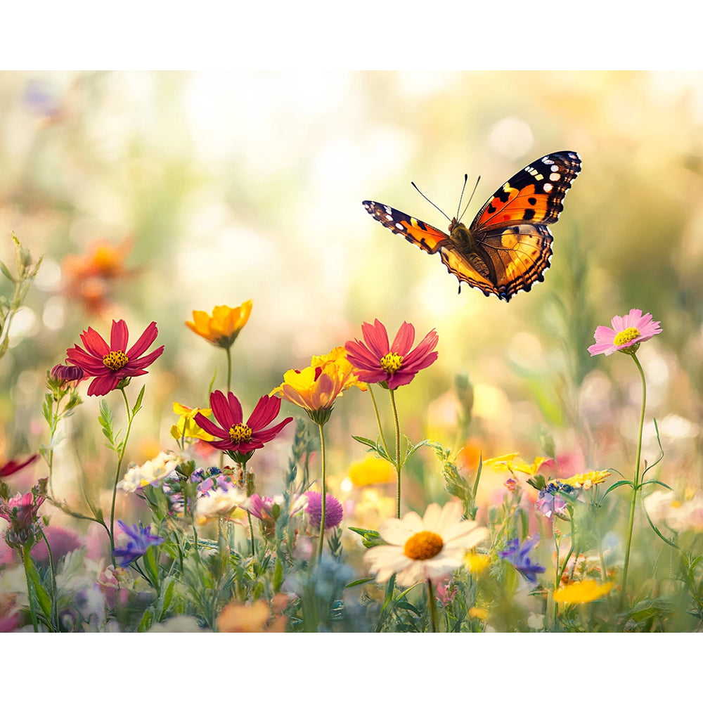 Flower Butterfly Painting By Number 2