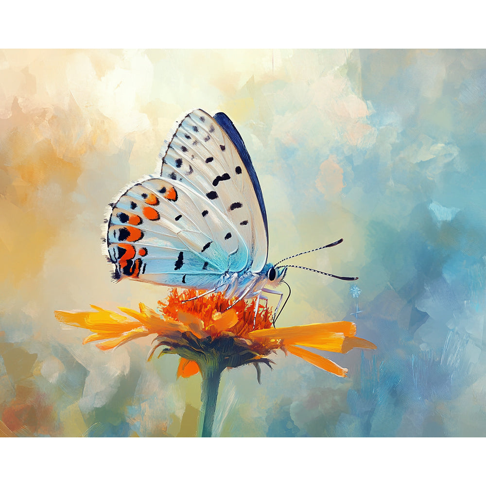 Butterfly Painting By Number 2